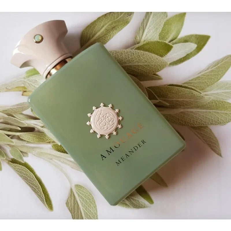 100ml Men’s Perfume Long Lasting Eau De Parfum Woody Oriental Aromatic Notes Fresh Warm Luxury Cologne Elegant Daily Wear Gift